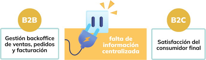 Esquema de los problemas que enfrentaba la empresa en relación con su forma de administrar la atención al cliente